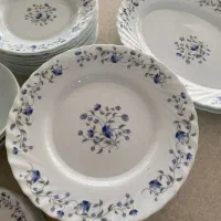 ظرف آرکوپال