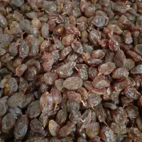 کشمش بدون هسته