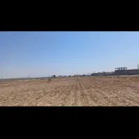 اجاره یک هکتار زمین کشاورزی واقع در شهرک انقلاب|اجارهٔ دفتر صنعتی، کشاورزی، تجاری|جیرفت, |دیوار