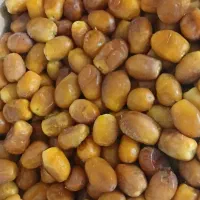 خرمای عسلی زاهدی