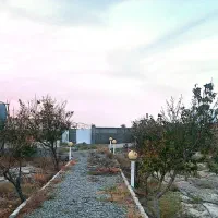 باغچه