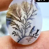 حراج شجر های قائنات با بهترین منظره زیر قیمت|جواهرات|تهران, دریاننو|دیوار