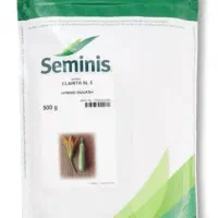 بذر کدو تک گل|گل و گیاه طبیعی|عنبرآباد, |دیوار