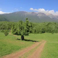 اجاره  ویلاکوتاه وبلند مدت دررشت.سراوان|اجارهٔ کوتاه‌مدت ویلا و باغ|سنگر, |دیوار