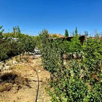 خانه ویلایی درب بهشت|فروش خانه و ویلا|درب بهشت, |دیوار