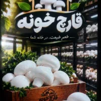 نیرو خانم برای کار در پرورش قارچ