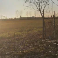 زمین باغی با انشعابات نزدیک|فروش دفتر صنعتی، کشاورزی، تجاری|کیاشهر, |دیوار