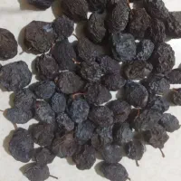 آلودرشت قیمت عالیه