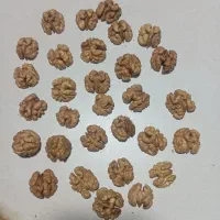مغز گردو ایرانی دندانه همه رقم دارم اگر مخت درخمتم