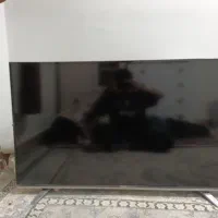 تلوزیون هایسنس