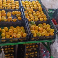 پالت میوه فروشی|فروشگاه و مغازه|تهران, مینابی|دیوار