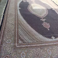 تک ۲۴متری شش لای