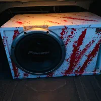 ساب پایونر308