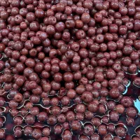 ترشی زیتون خیارشور ترشک لواشک رب روغن زیتون|خوردنی و آشامیدنی|تهران, شهرری|دیوار