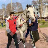 بولت گلستان قهرمان گروه ۱ ایران