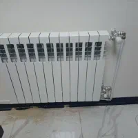 فروش تعمیر تخصصی پکیج رادیاتوربخاری(نمایندگی مجاز)|آبگرمکن، پکیج، شوفاژ|هشتگرد, شهرک المهدی|دیوار