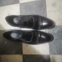 کفش مردانه نو