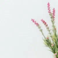 راننده خانم.هستم