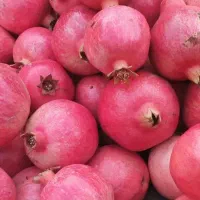 انار درجه یک