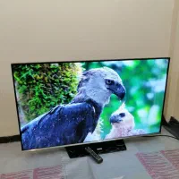 ال ای دی 49اینچ سامسونگ اصل کره سام سرویس در حدآک