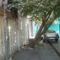 اجاره یک پارکینگ ۹۰متری مناسب برای کارگاه