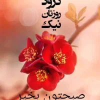 فروشنده خانم