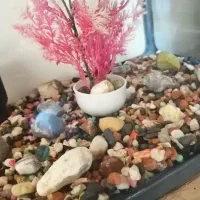 آکواریوم شرکتیJEBO|ماهی|تبریز, |دیوار