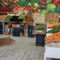 صیفی جات تره بار
