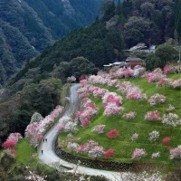 200زمین مسکونی سردونبش