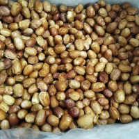 عرضه عمده انواع ادویه جات به صورت فروش کلی و جزئی|فعالیت داوطلبانه|شوشتر, |دیوار