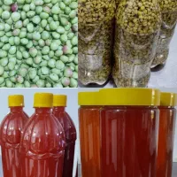 رب انار شیره انگور بنه آبغوره بلغورشیر|خوردنی و آشامیدنی|مشهد, بهمن|دیوار