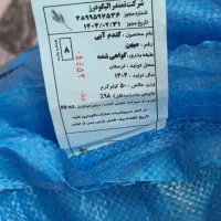 بذر گندم اصلاح شده میهن|خدمات باغبانی و درختکاری|دورود, |دیوار