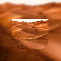 خرید و فروش فیش حج عمره