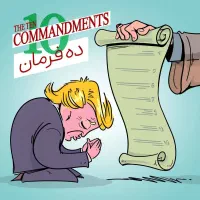 شریک برای مرغداری گوشتی