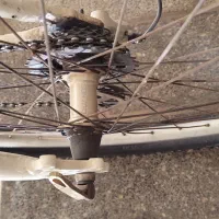 دوچرخه|دوچرخه، اسکیت، اسکوتر|شیراز, ارم|دیوار