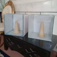 آکواریوم خاص|ماهی|فلاورجان, |دیوار