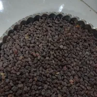 کشمش آفتابی تازه ودرجه یک