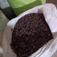 آلوچه و گیلاس|خوردنی و آشامیدنی|تهران, ائمه اطهار|دیوار