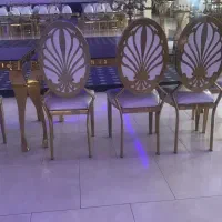 صندلی تالاری دلوین