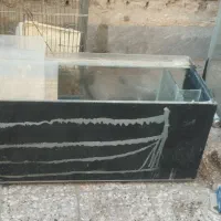 دوعد آکواریوم