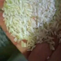 برنج درجه یک شاهیوند