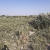 زمین-کشاورزی