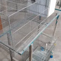 قفس حرفه ای ۶۴وکوتوله ولونه عروس هلندی