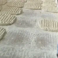 استخدام آذرنان بربری
