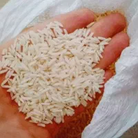 برج محلی بروجرد کشت اول سالم علی کاظمی