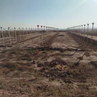 زمین-کشاورزی-2-5هکتار-معاوضه-با-آپارتمان-یا-خودرو