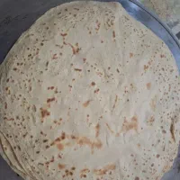 فروش نون تیری