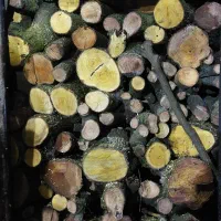 فروش هیزم شومینه و زغال کبابی  و مجلسی ممتاز