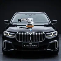 دلیتلینگ واحیای رنگ واکس پولیش کینگ شاینKING SHINE