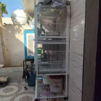 فروش قفس پرنده